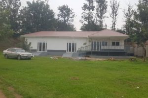Common Pitfalls in Container Home Construction